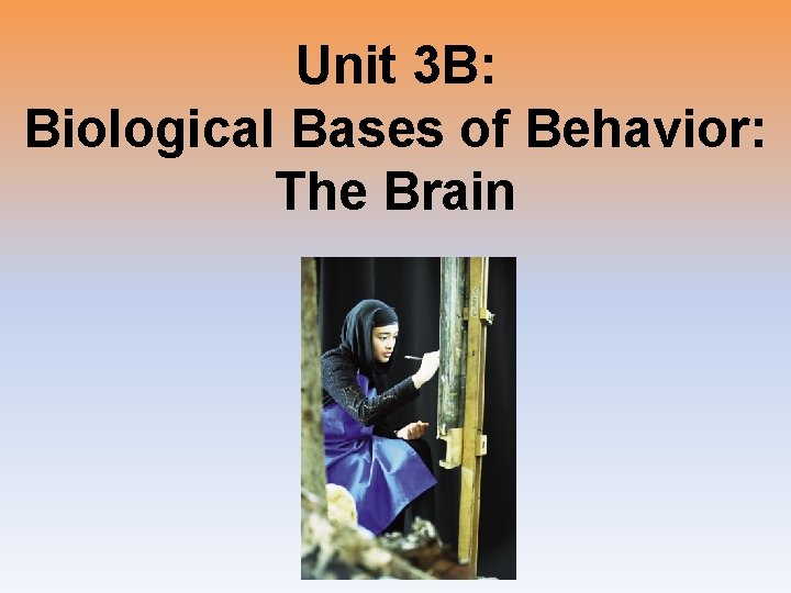 Unit 3 B: Biological Bases of Behavior: The Brain 