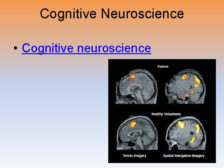 Cognitive Neuroscience • Cognitive neuroscience 