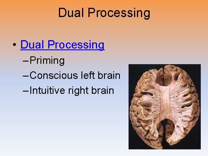 Dual Processing • Dual Processing – Priming – Conscious left brain – Intuitive right