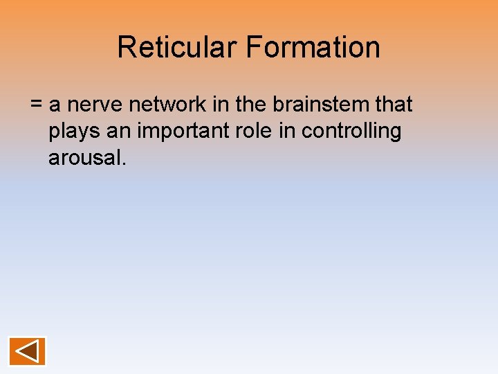 Reticular Formation = a nerve network in the brainstem that plays an important role