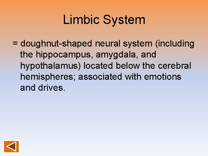 Limbic System = doughnut-shaped neural system (including the hippocampus, amygdala, and hypothalamus) located below