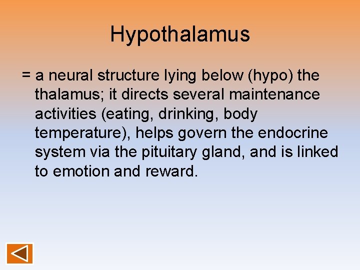 Hypothalamus = a neural structure lying below (hypo) the thalamus; it directs several maintenance