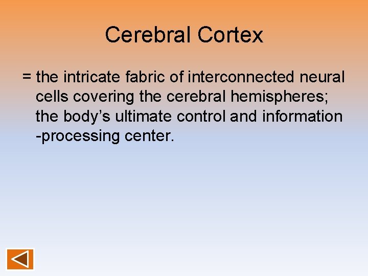 Cerebral Cortex = the intricate fabric of interconnected neural cells covering the cerebral hemispheres;