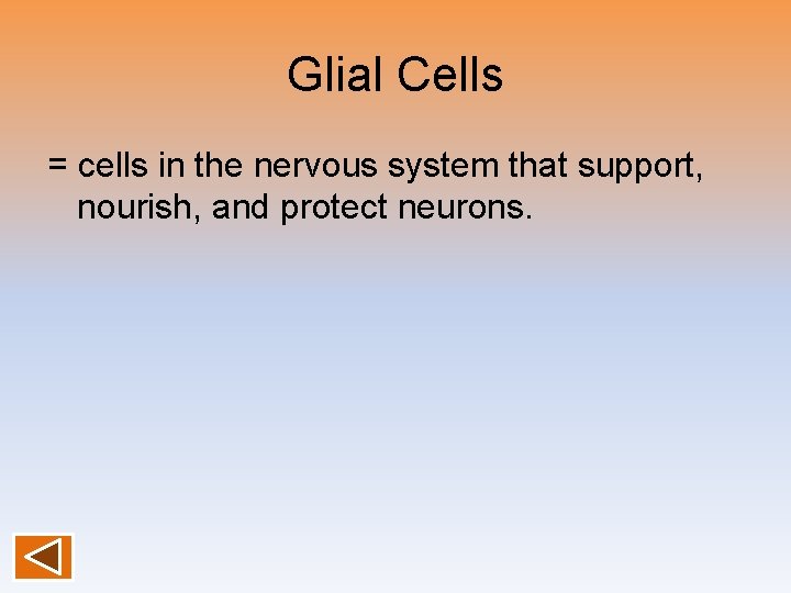 Glial Cells = cells in the nervous system that support, nourish, and protect neurons.