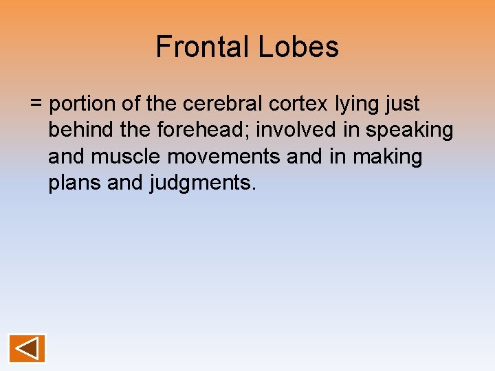 Frontal Lobes = portion of the cerebral cortex lying just behind the forehead; involved