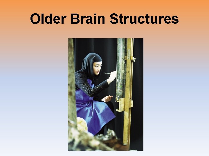 Older Brain Structures 