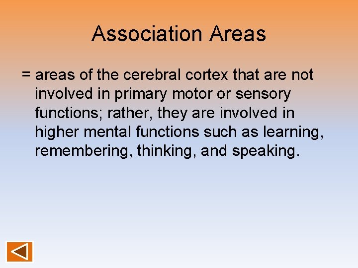Association Areas = areas of the cerebral cortex that are not involved in primary