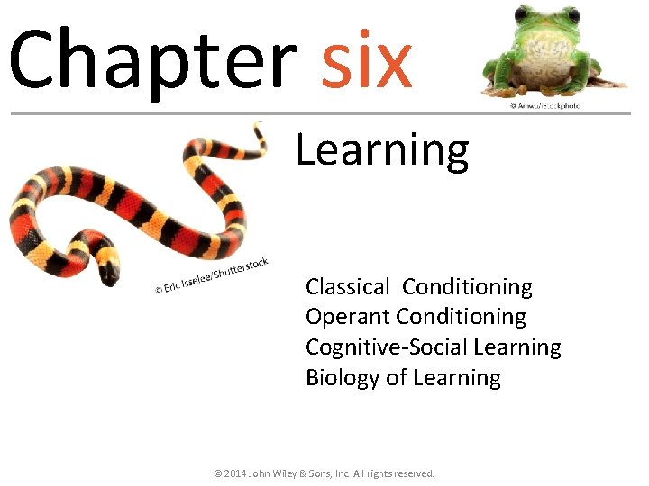 Chapter six Learning Classical Conditioning Operant Conditioning Cognitive-Social Learning Biology of Learning © 2014