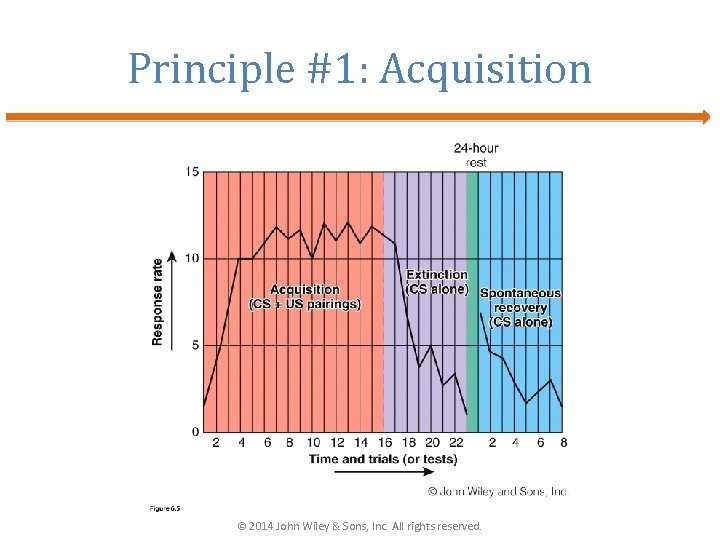 Principle #1: Acquisition © 2014 John Wiley & Sons, Inc. All rights reserved. 