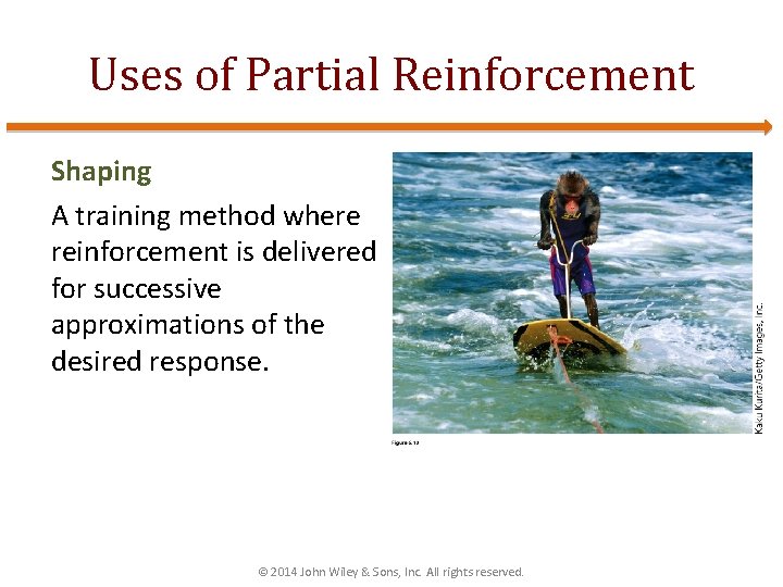 Uses of Partial Reinforcement Shaping A training method where reinforcement is delivered for successive