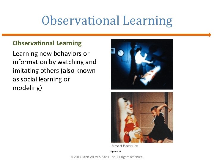 Observational Learning new behaviors or information by watching and imitating others (also known as