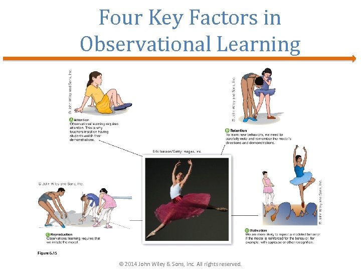 Four Key Factors in Observational Learning © 2014 John Wiley & Sons, Inc. All