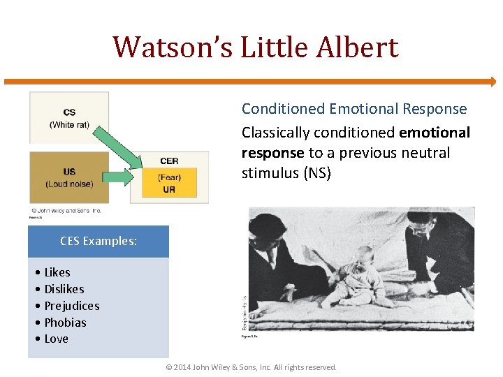 Watson’s Little Albert Conditioned Emotional Response Classically conditioned emotional response to a previous neutral