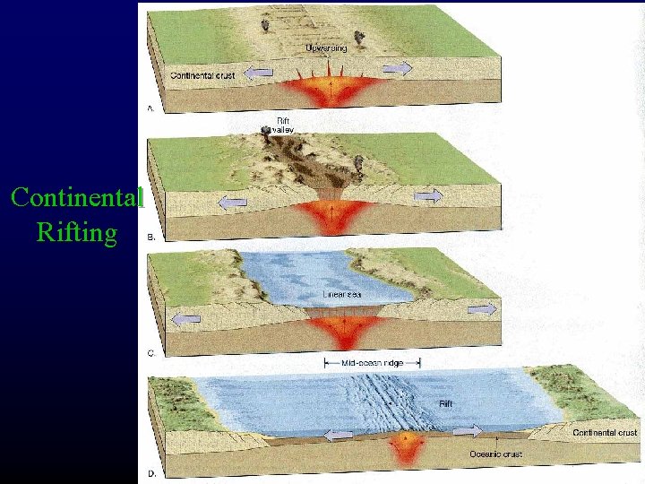 Continental Rifting 