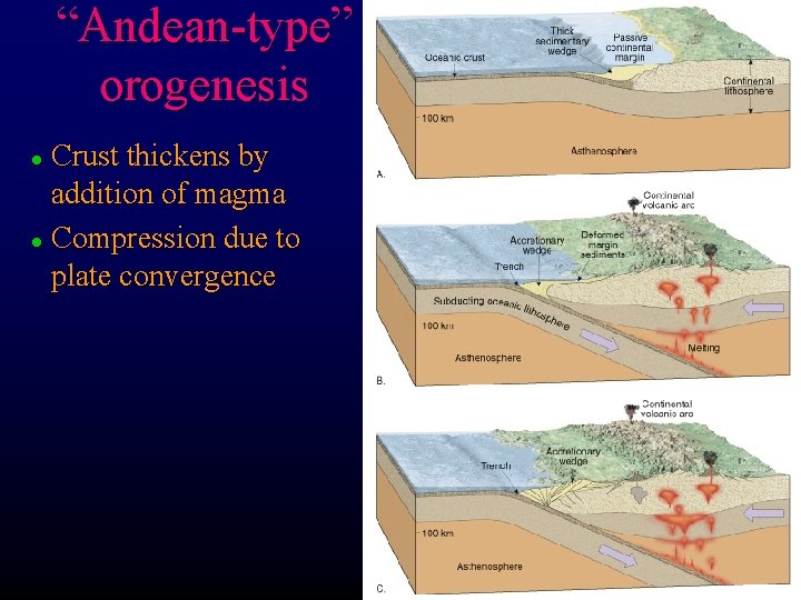 “Andean-type” orogenesis Crust thickens by addition of magma l Compression due to plate convergence