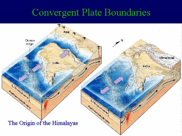 Convergent Plate Boundaries The Origin of the Himalayas 