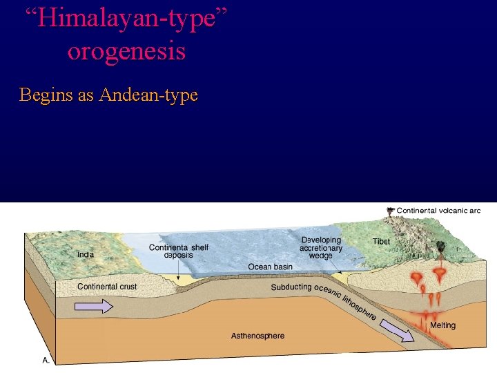 “Himalayan-type” orogenesis Begins as Andean-type 