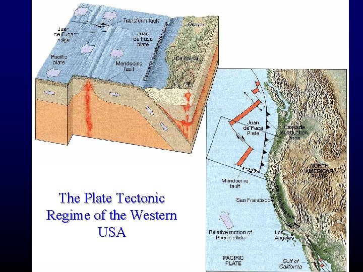 The Plate Tectonic Regime of the Western USA 