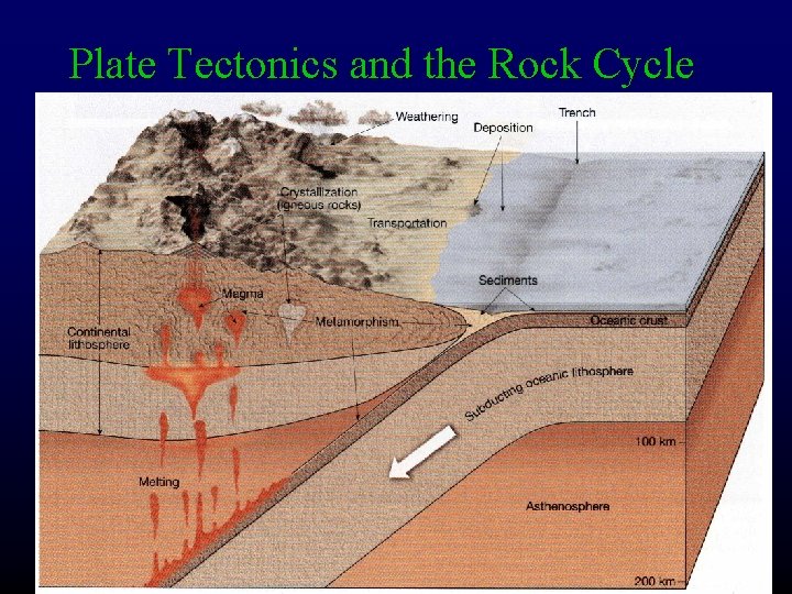 Plate Tectonics and the Rock Cycle 