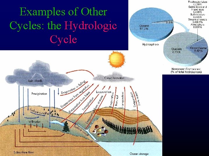 Examples of Other Cycles: the Hydrologic Cycle 