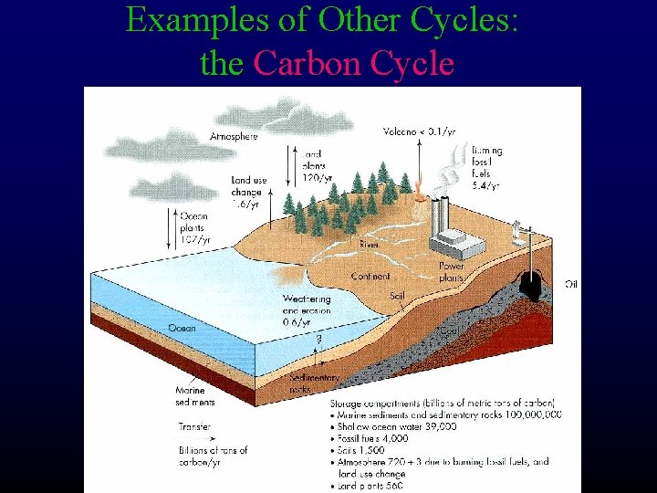 Examples of Other Cycles: the Carbon Cycle 