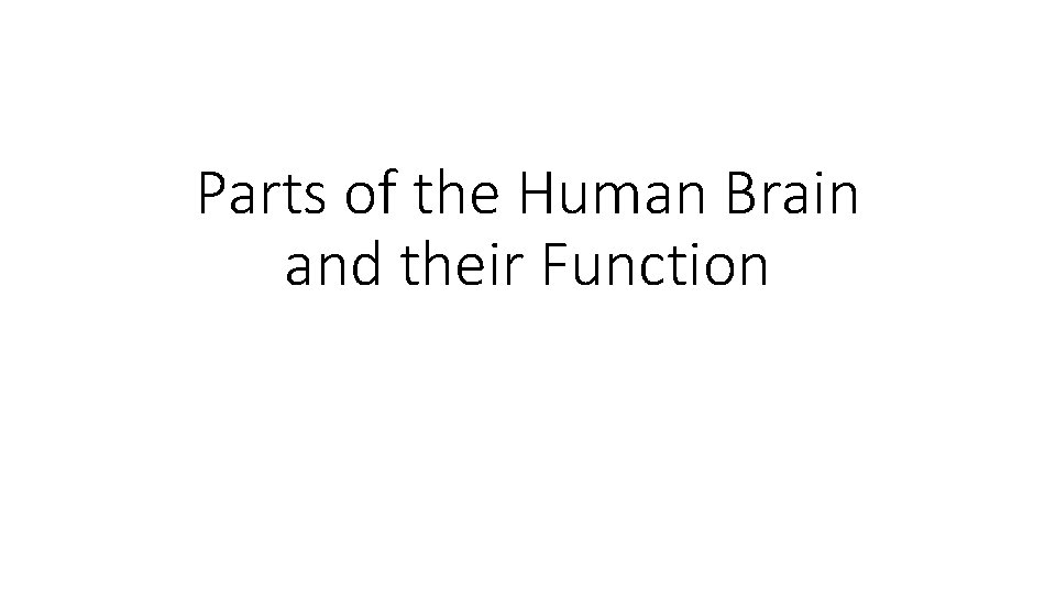 Parts of the Human Brain and their Function 