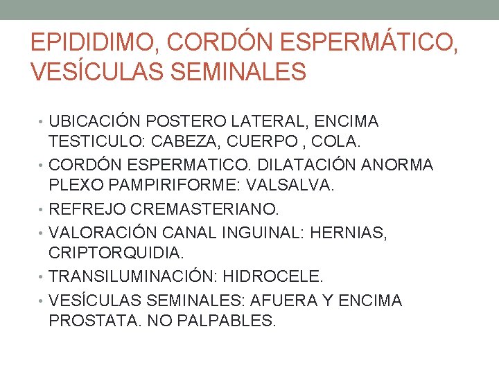 EPIDIDIMO, CORDÓN ESPERMÁTICO, VESÍCULAS SEMINALES • UBICACIÓN POSTERO LATERAL, ENCIMA TESTICULO: CABEZA, CUERPO , EPIDIDIMO, CORDÓN ESPERMÁTICO, VESÍCULAS SEMINALES • UBICACIÓN POSTERO LATERAL, ENCIMA TESTICULO: CABEZA, CUERPO ,