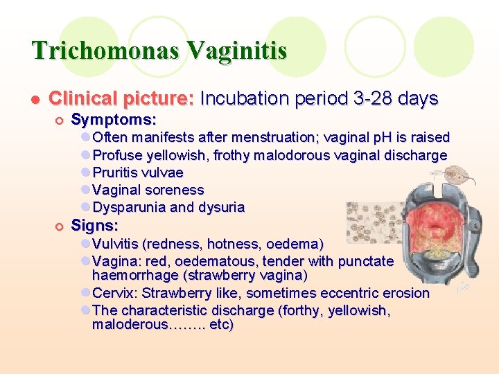 Trichomonas Vaginitis l Clinical picture: Incubation period 3 -28 days ¡ Symptoms: l Often Trichomonas Vaginitis l Clinical picture: Incubation period 3 -28 days ¡ Symptoms: l Often