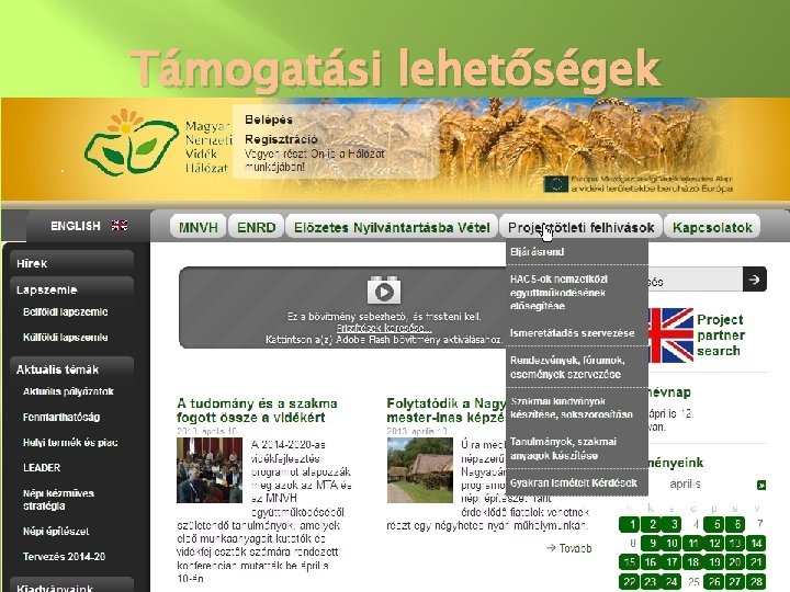 Támogatási lehetőségek. 