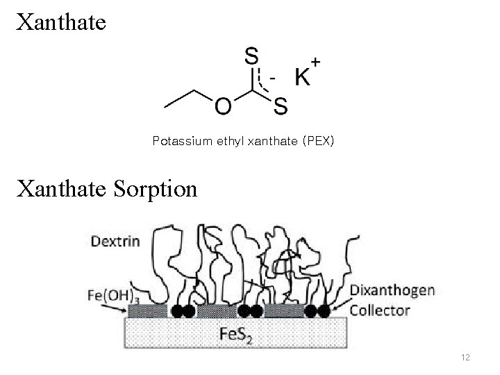 Xanthate Potassium ethyl xanthate (PEX) Xanthate Sorption 12 