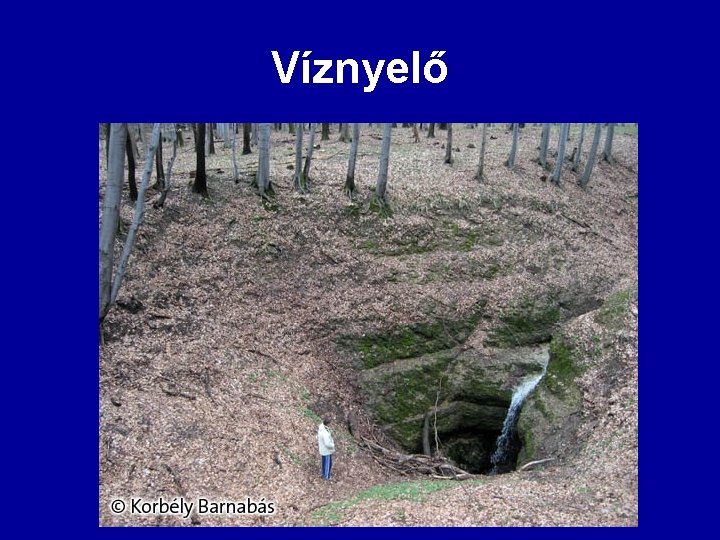 Víznyelő Víznyelő