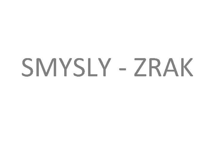 SMYSLY - ZRAK 