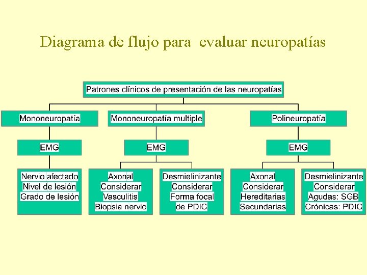 Diagrama de flujo para evaluar neuropatías 