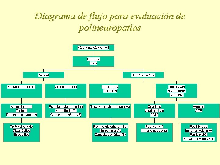 Diagrama de flujo para evaluación de polineuropatías 