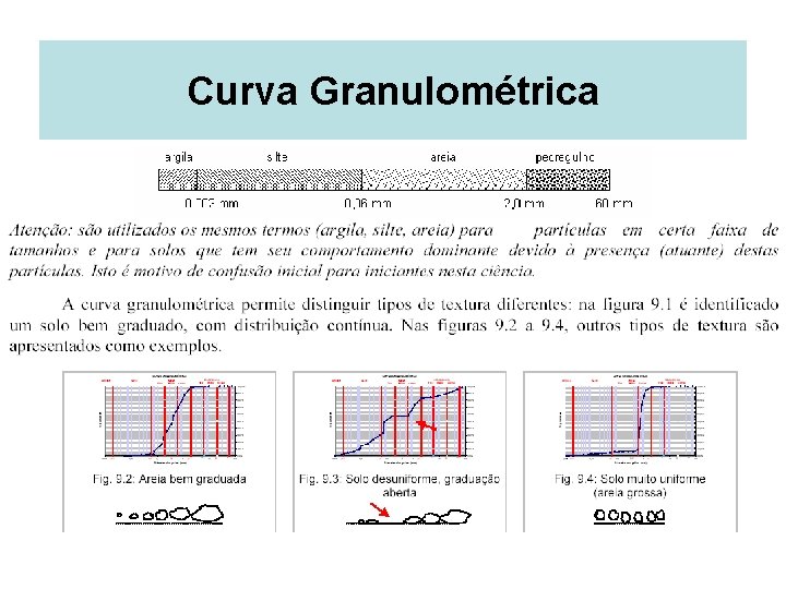 Curva Granulométrica 