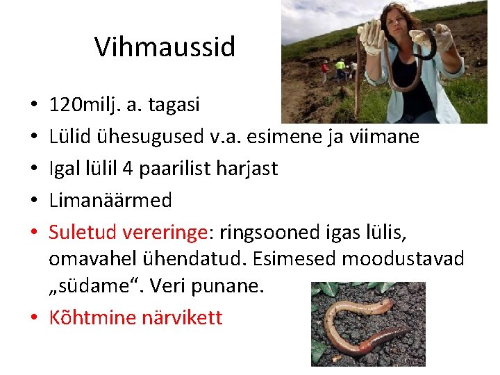 Vihmaussid 120 milj. a. tagasi Lülid ühesugused v. a. esimene ja viimane Igal lülil