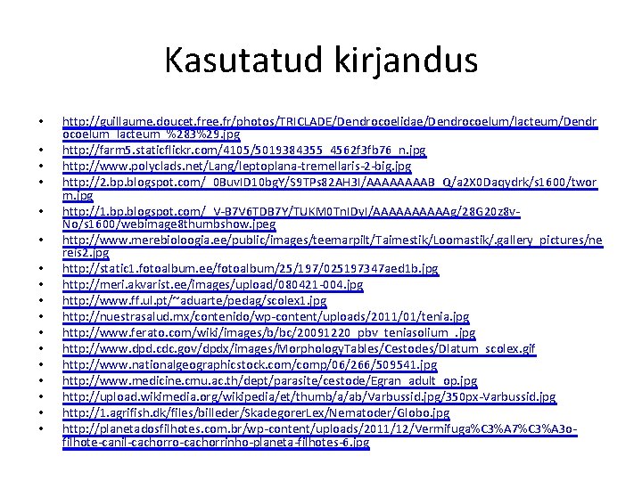 Kasutatud kirjandus • • • • • http: //guillaume. doucet. free. fr/photos/TRICLADE/Dendrocoelidae/Dendrocoelum/lacteum/Dendr ocoelum_lacteum_%283%29. jpg