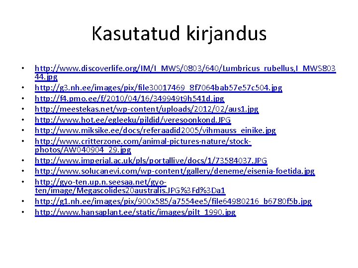 Kasutatud kirjandus • • • http: //www. discoverlife. org/IM/I_MWS/0803/640/Lumbricus_rubellus, I_MWS 803 44. jpg http: