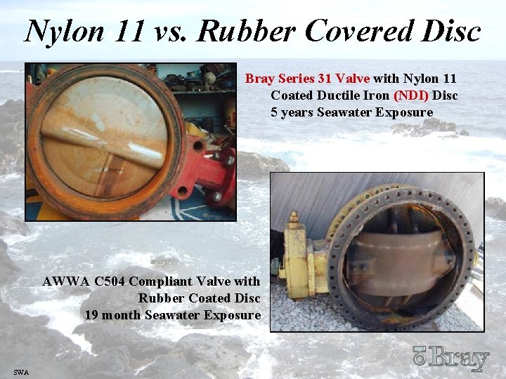 Nylon 11 vs. Rubber Covered Disc Bray Series 31 Valve with Nylon 11 Coated