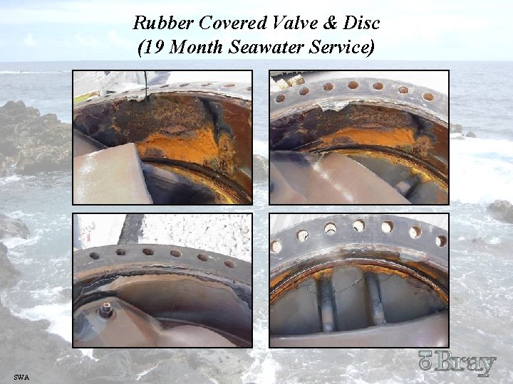 Rubber Covered Valve & Disc (19 Month Seawater Service) SWA Rubber Covered Valve & Disc (19 Month Seawater Service) SWA