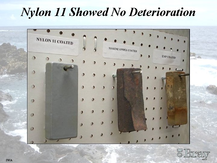 Nylon 11 Showed No Deterioration SWA 