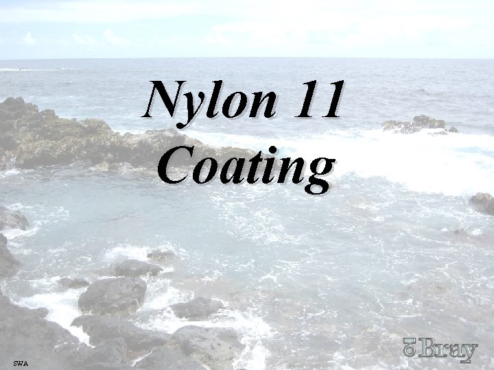 Nylon 11 Coating SWA 