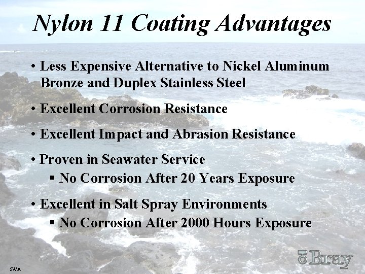 Nylon 11 Coating Advantages • Less Expensive Alternative to Nickel Aluminum Bronze and Duplex