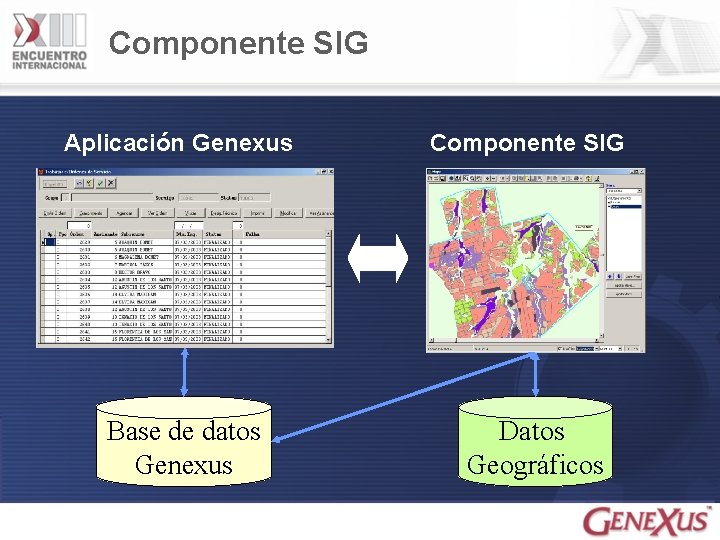 Componente SIG Aplicación Genexus Base de datos Genexus Componente SIG Datos Geográficos 