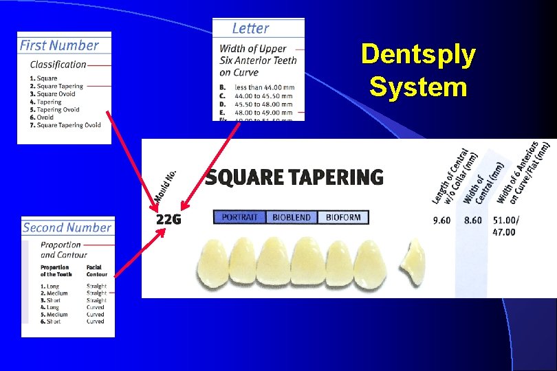 Dentsply System 