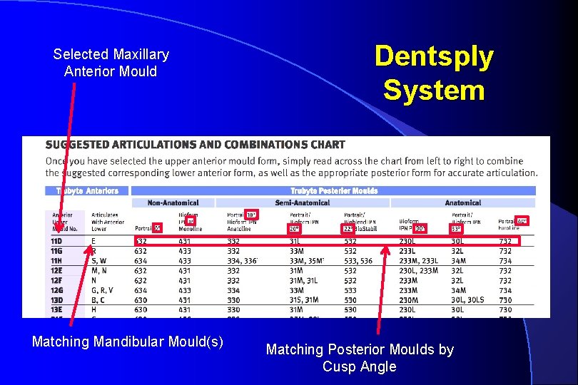 Selected Maxillary Anterior Mould Matching Mandibular Mould(s) Dentsply System Matching Posterior Moulds by Cusp