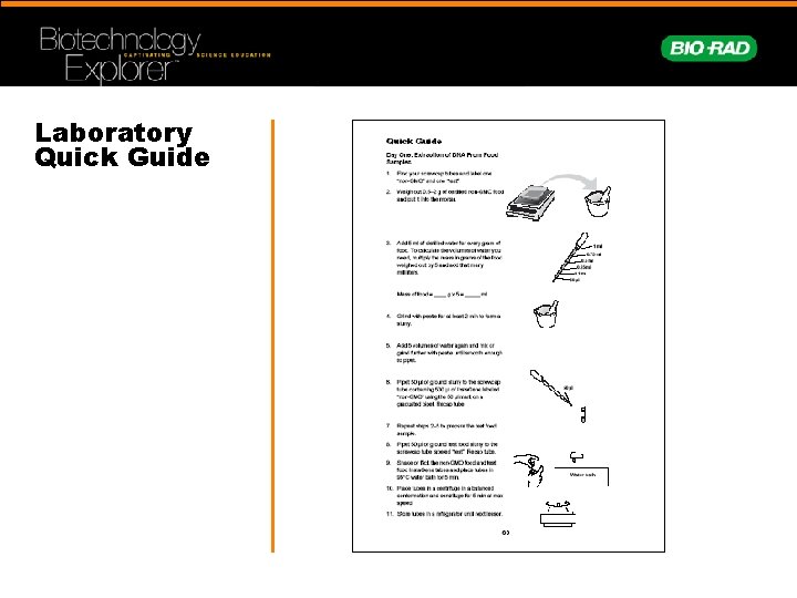 Laboratory Quick Guide 