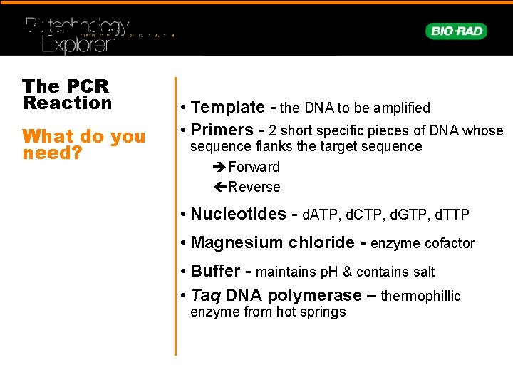 What is needed for PCR? The PCR Reaction What do you need? • Template