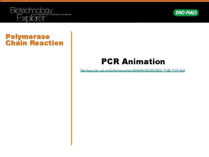 Polymerase Chain Reaction PCR Animation http: //www. bio-rad. com/Life. Science/jobs/2004/04 -0522_PV 92_PCR. html 