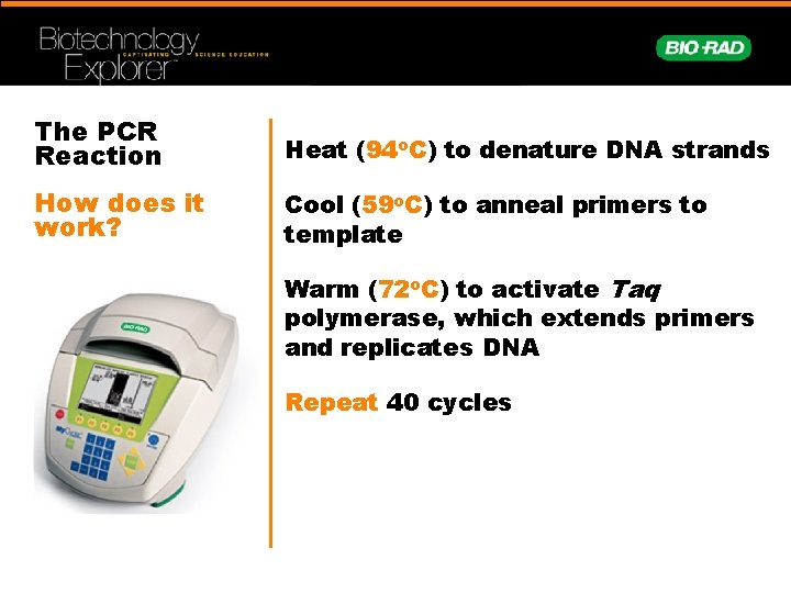 The PCR Reaction Heat (94 o. C) to denature DNA strands How does it